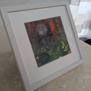 Green Vale (Framed Print)